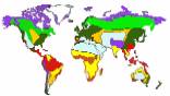 Click here to view a map of the major forest biomes and the most important forest types